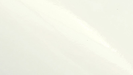 Prozirna PP Folija